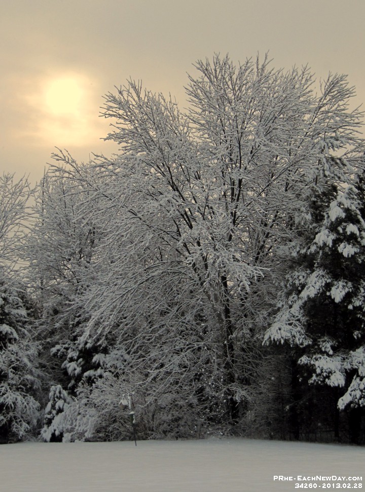 34260CrLe - It's a glorious winter wonderland!